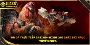 Đá gà trực tiếp casino