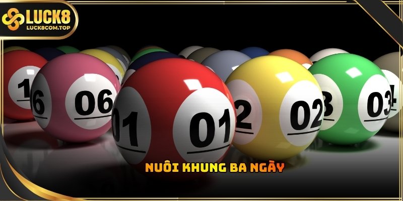 Nuôi khung 3 ngày phù hợp với những người muốn tìm kiếm lợi nhuận ổn định