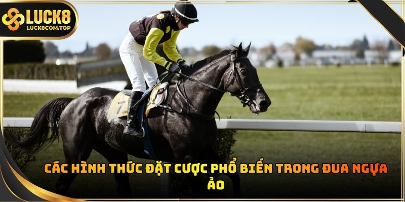 Hệ thống cung cấp danh sách các loại kèo vô cùng đa dạng cho hội viên