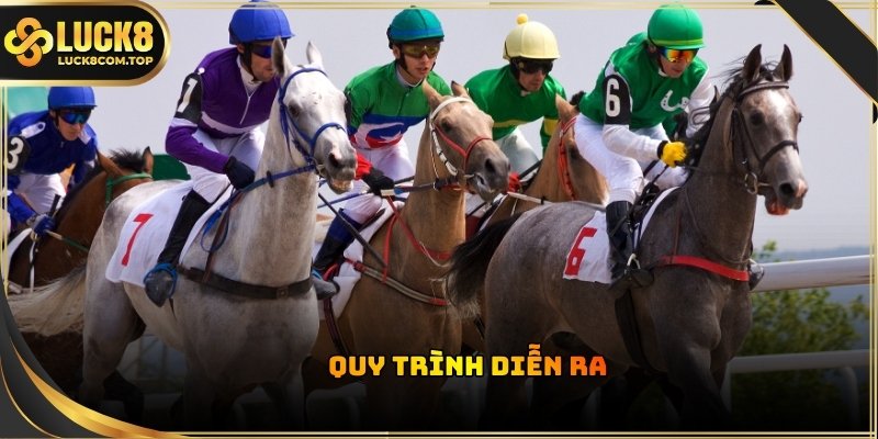 Đua ngựa ảo kết thúc ngay khi chú ngựa chiến đầu tiên chạm vạch đích